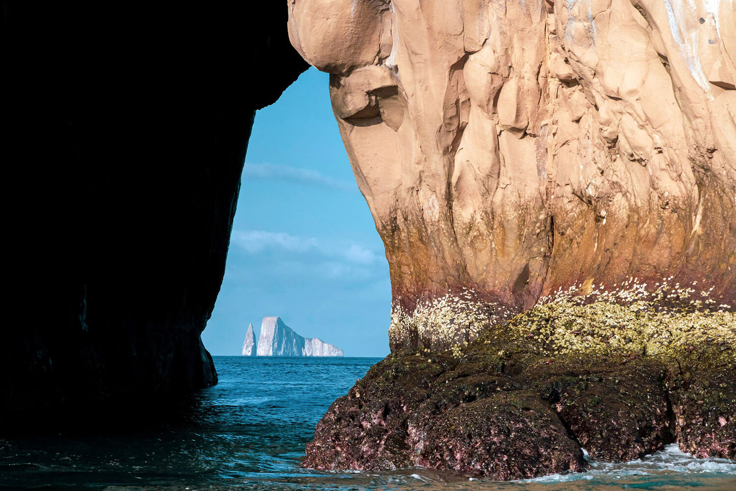 PlaceholderImage1302